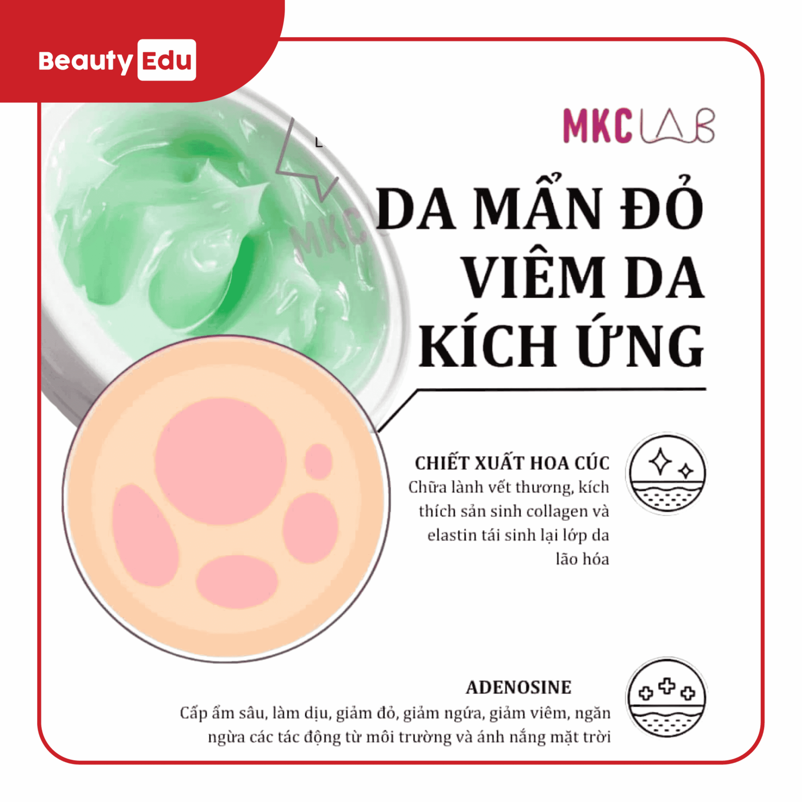 SP EDU Kem dưỡng phục hồi Cell Repair
